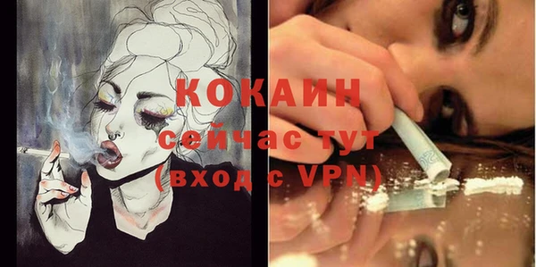 прущие грибы Осинники