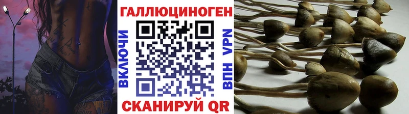 что такое наркотик Лангепас Псилоцибиновые грибы мицелий